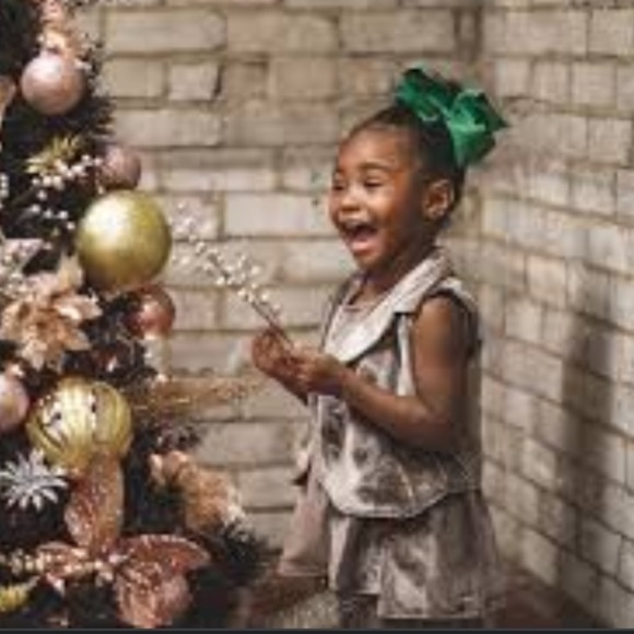 2‎ PCs Girls The Bae Hive Baesics Velvet tunic dress sz 4 NWT blush pink - Picture 4 of 15